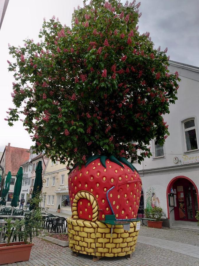 Ferienwohnungen Boegner Günzburg Exterior foto